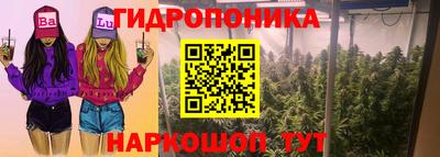 твердый Дубна